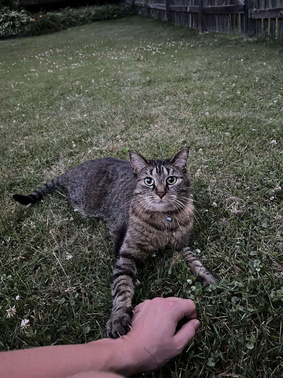 Playing in Grass