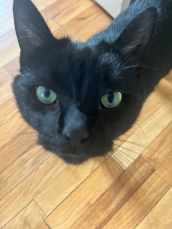 A selfie from Panther